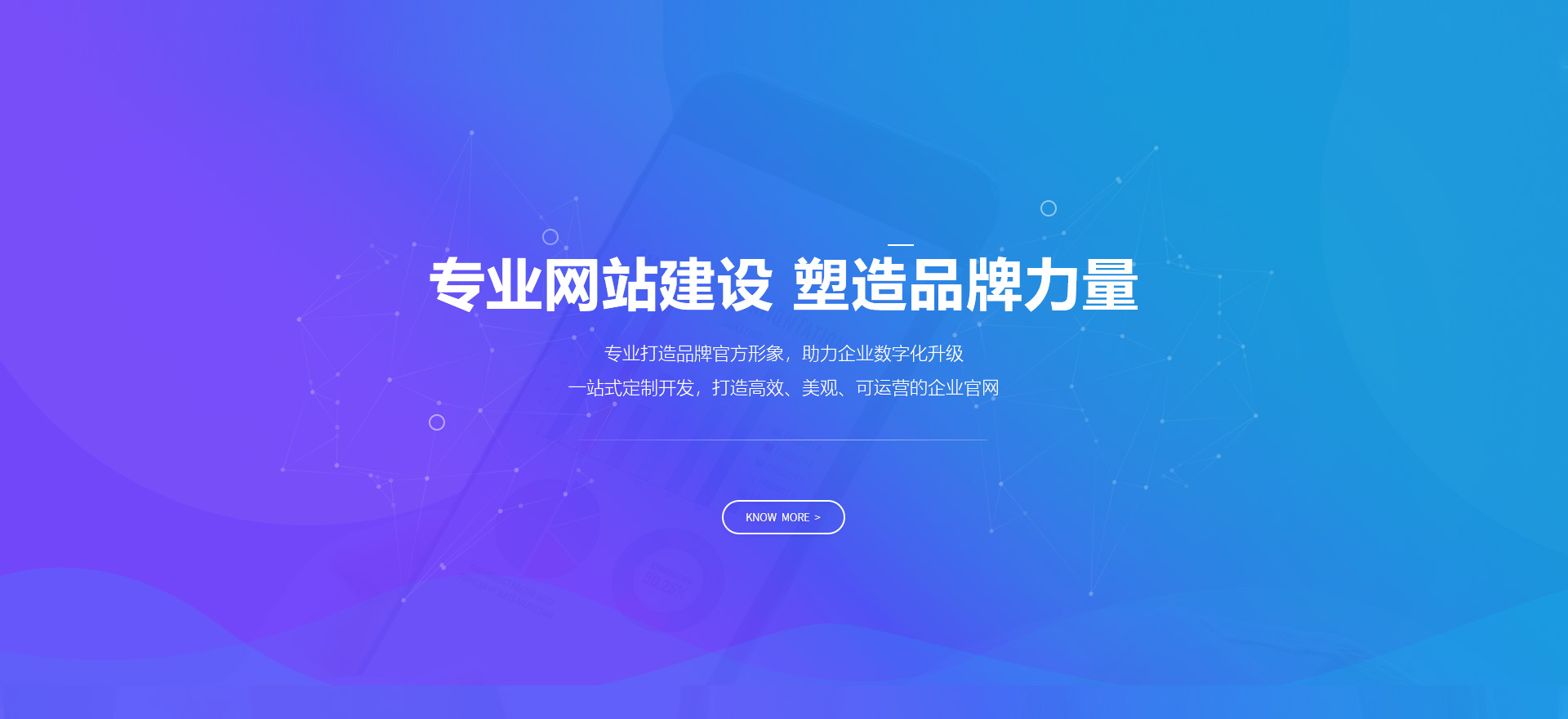丽江建站-专业网站建设 塑造品牌力量