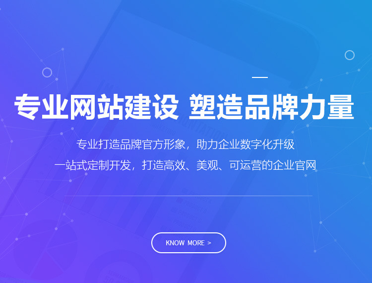 丽江建站-专业网站建设 塑造品牌力量
